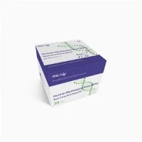Virus Monkeypox Manusia (MPV) Kit Assay PCR Masa Sebenar